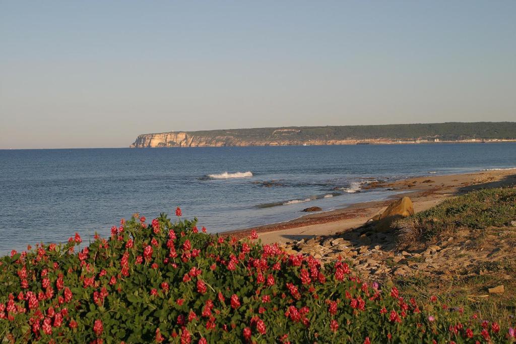 Finca El Abuelo Barbate Szoba fotó